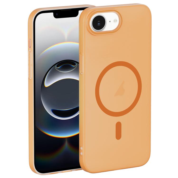 EDA007919216D.jpg@339974887fbe816829b58d63a895f43f