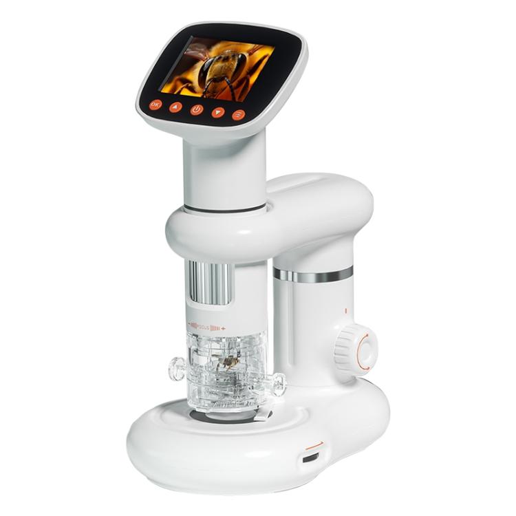 EDA007958701A.jpg@51f521722ec0583b3fa5fab64fbfd230