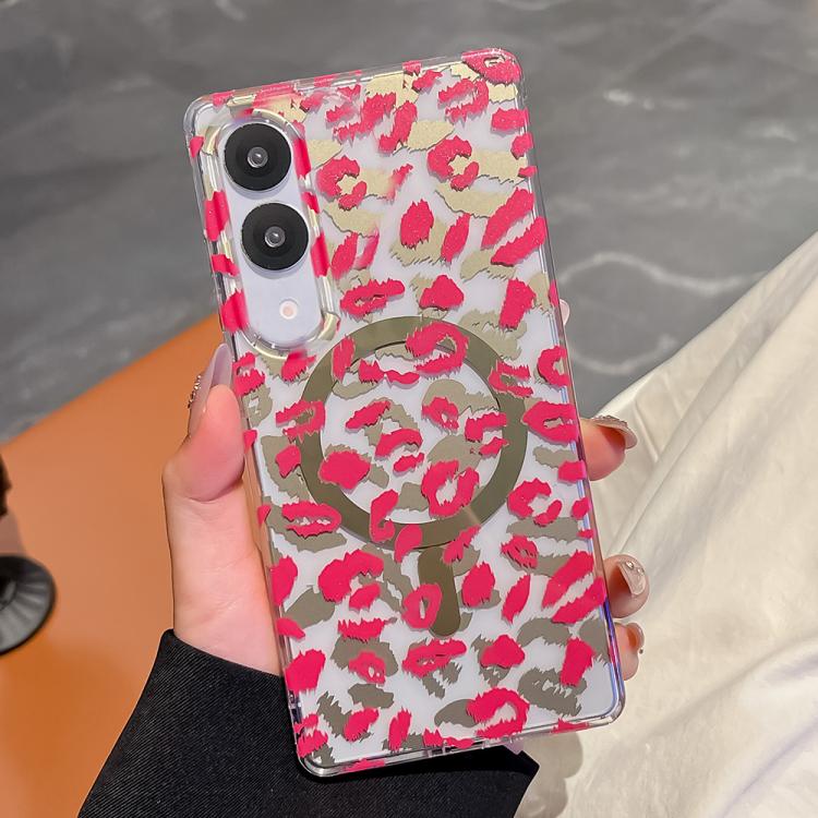 EDA008379006A.jpg@bfaa9d16991dc51da6dda5bd70e4fc0a