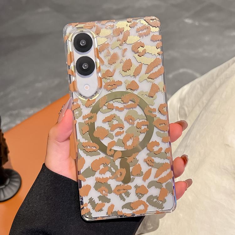 EDA008379006C.jpg@6cf2beda99cceb7793b5ed87a9fff243