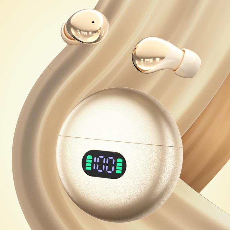 EDA008851601A_1.jpg@df8e0a01875df0b01b9c5ec13580ed2d