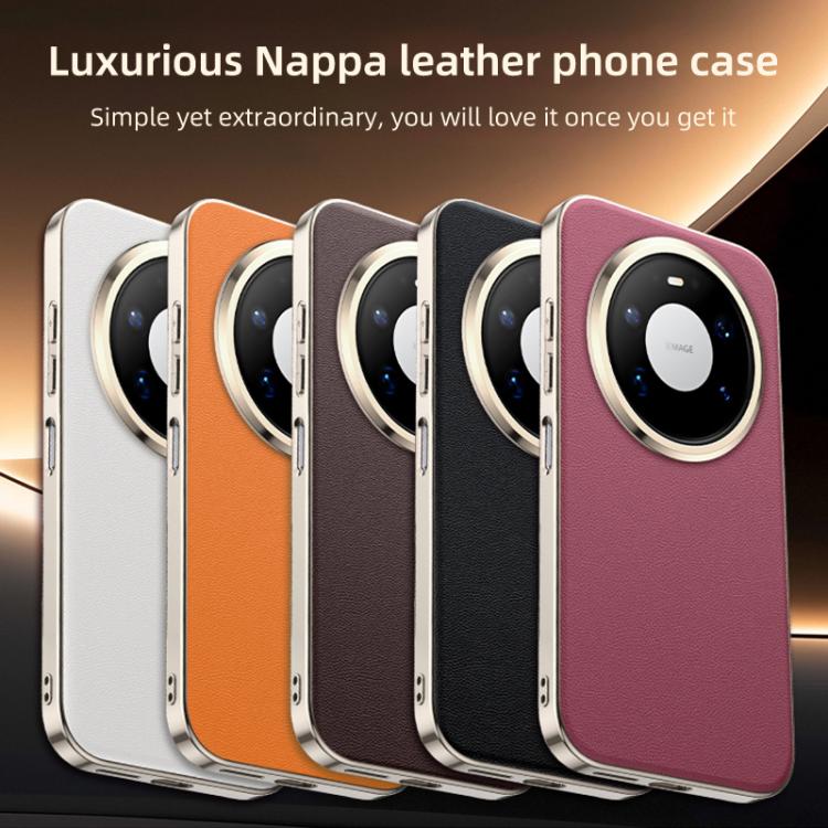 EDA0088602_B1.jpg@cb981adae4a3dc1eb32571ef94e18b0e