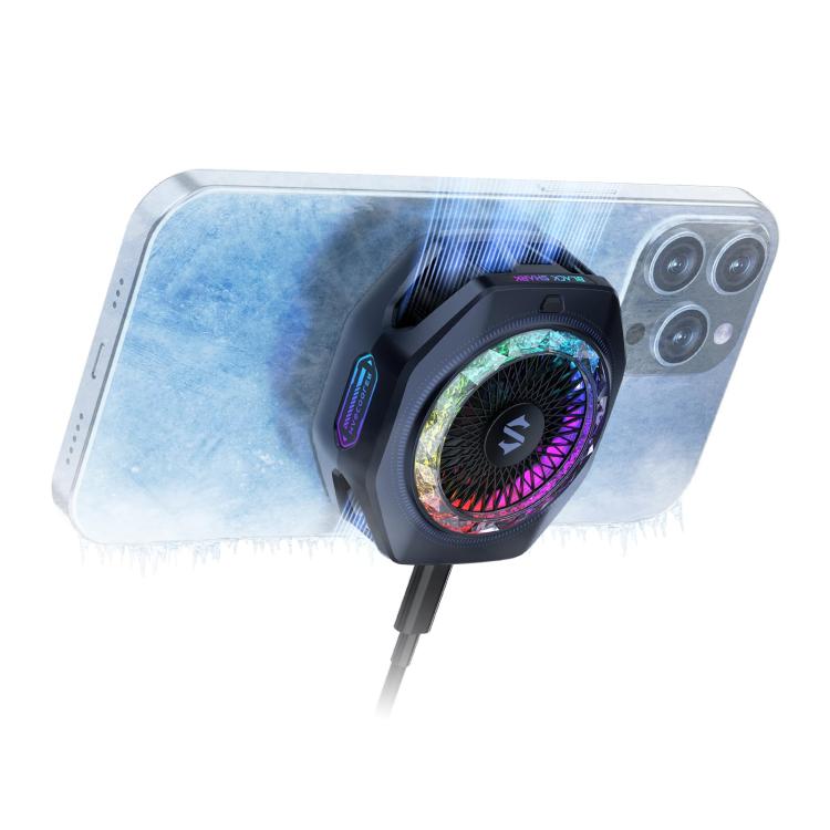 EDA008981201A.jpg@a8b84e9ca911eca2a171f3a403c4030e