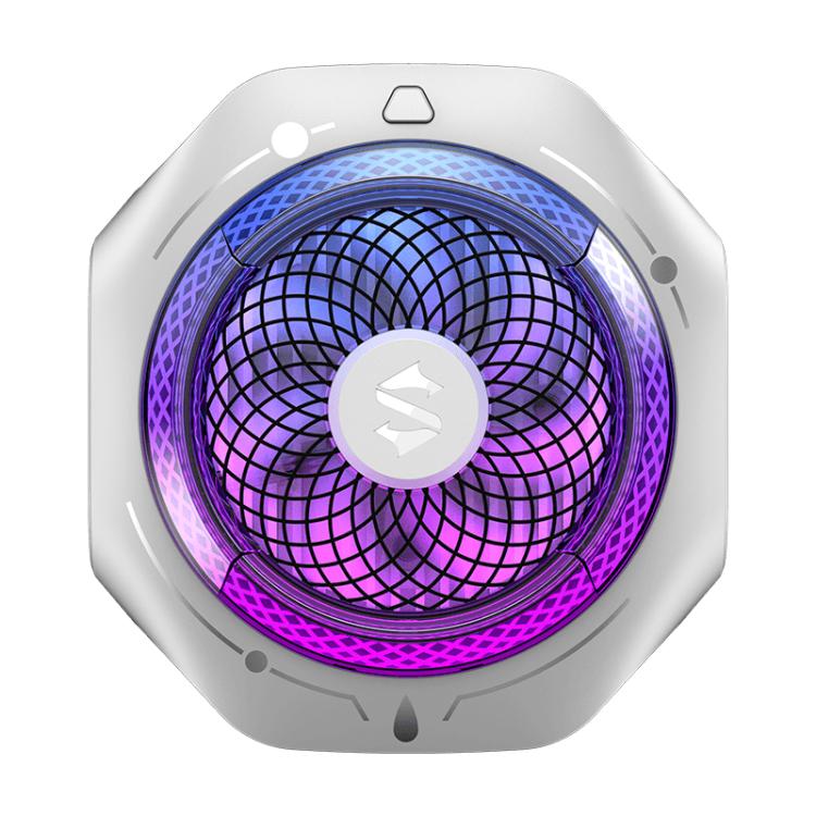 EDA008982001B.jpg@afc4ef3a6000a6938ab064e11b260952