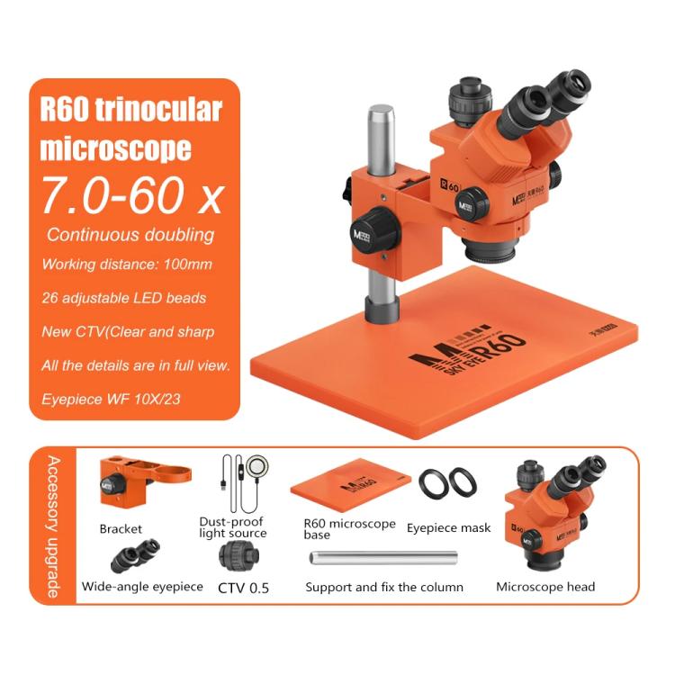 EDA008997601B_1.jpg@826505d127cd7d7dadb59bc291b98a42