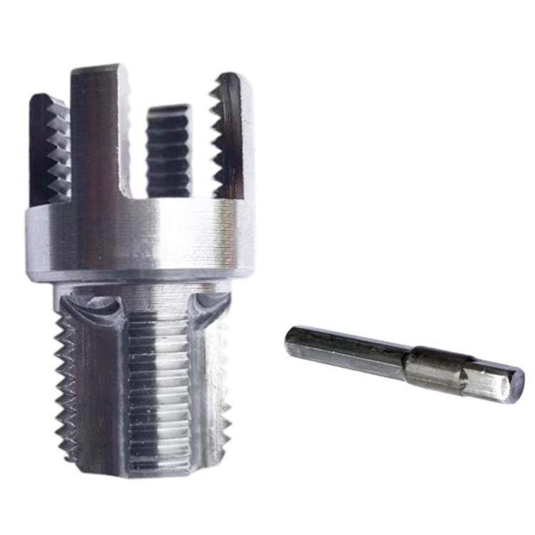 EDA009049706.jpg@9f714e124a8a5db9c8c34b31cbea742a