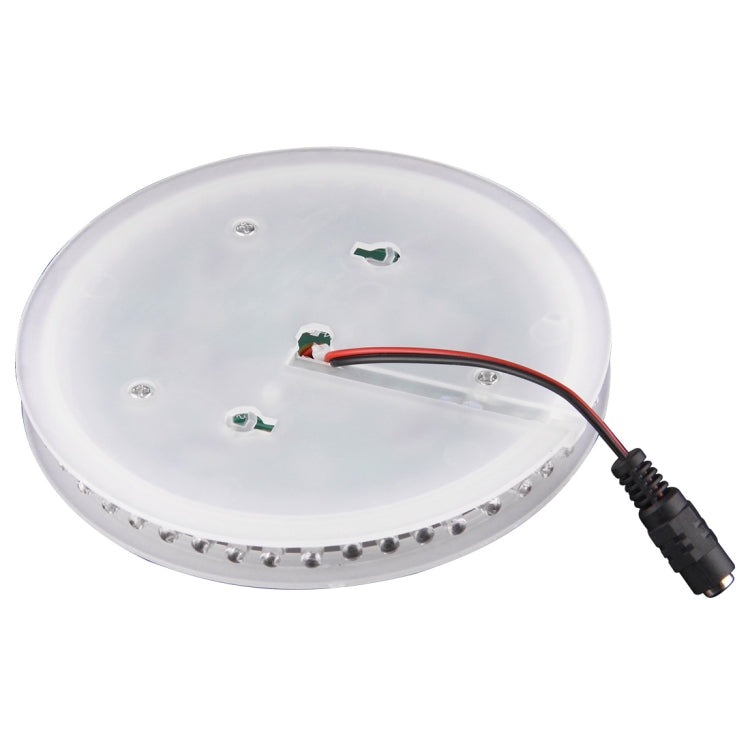 PRC0005W_1.jpg@e2574dc91815f313082ad070cd50368f