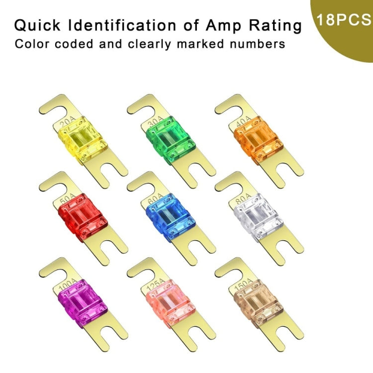 TBD06052883_B1.jpg@444a08dc80ed8bdb6362945aad57e9cd