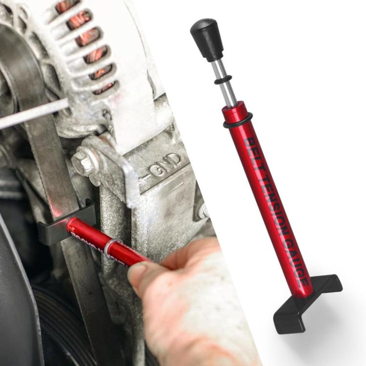 TBD06057853_B1.jpg@26589c3683f680721a8d5accbcb99404