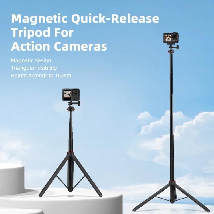 TBD06061885_B1.jpg@e1839907ec42d8572b01ce90e1ef4b68