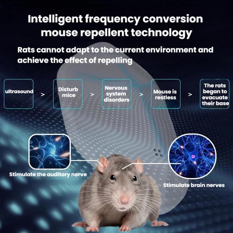 TBD06063159_B1.jpg@6fa550210c4ec16ae0d7a1cd5bf88ebe