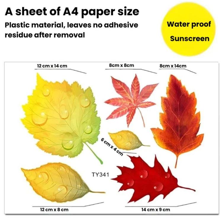 TBD06065079_B1.jpg@cf9bbf82bd8d5db0f3e044821abd50e0