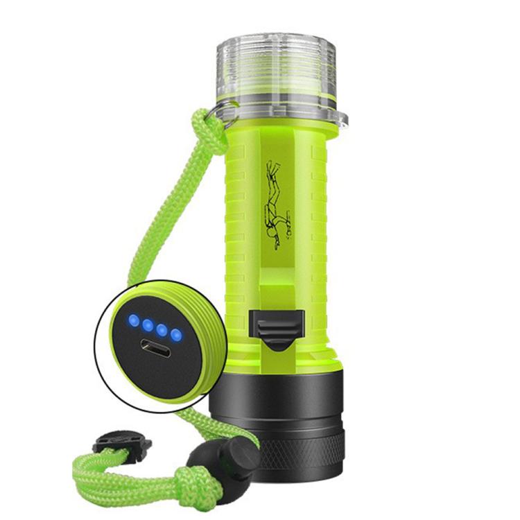 TBD0606553101.jpg@7995ec1b3dd9968d68fe9d9f32cc7585