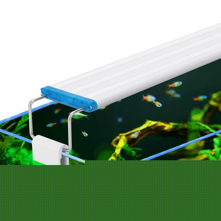 TBD06066408_B1.jpg@c951f670681ceb69281854fcfc3c179d