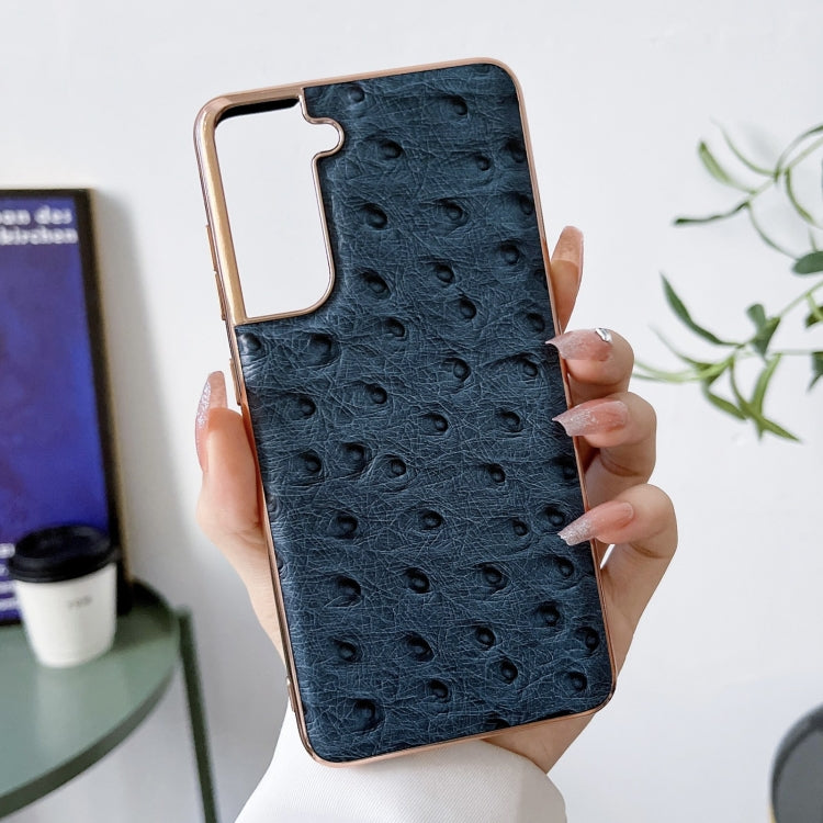 EDA003549105B_1.jpg@d418469592c55f0105c25e0bd3744f10