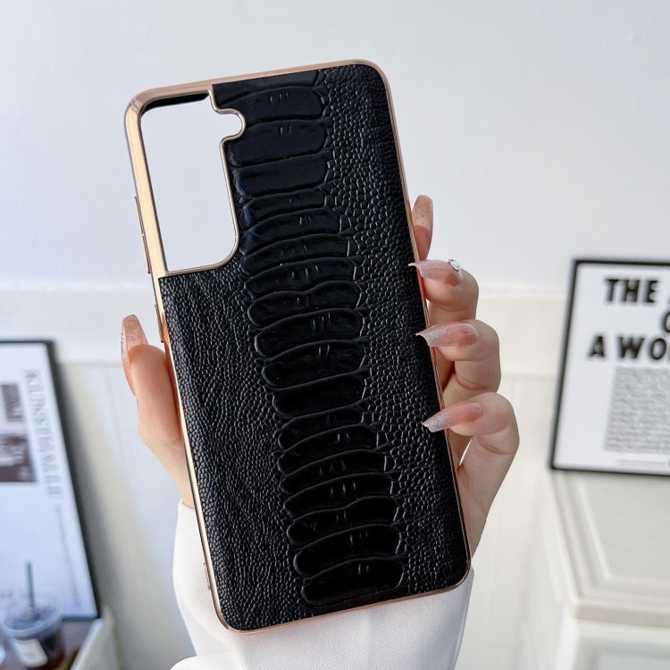 EDA003549504C_1.jpg@4ecce3d3c278b5b8d47a016306154948