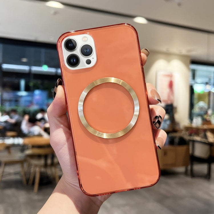 EDA003606208G.jpg@c538b91aa5d1e4a6df77901469fc3478