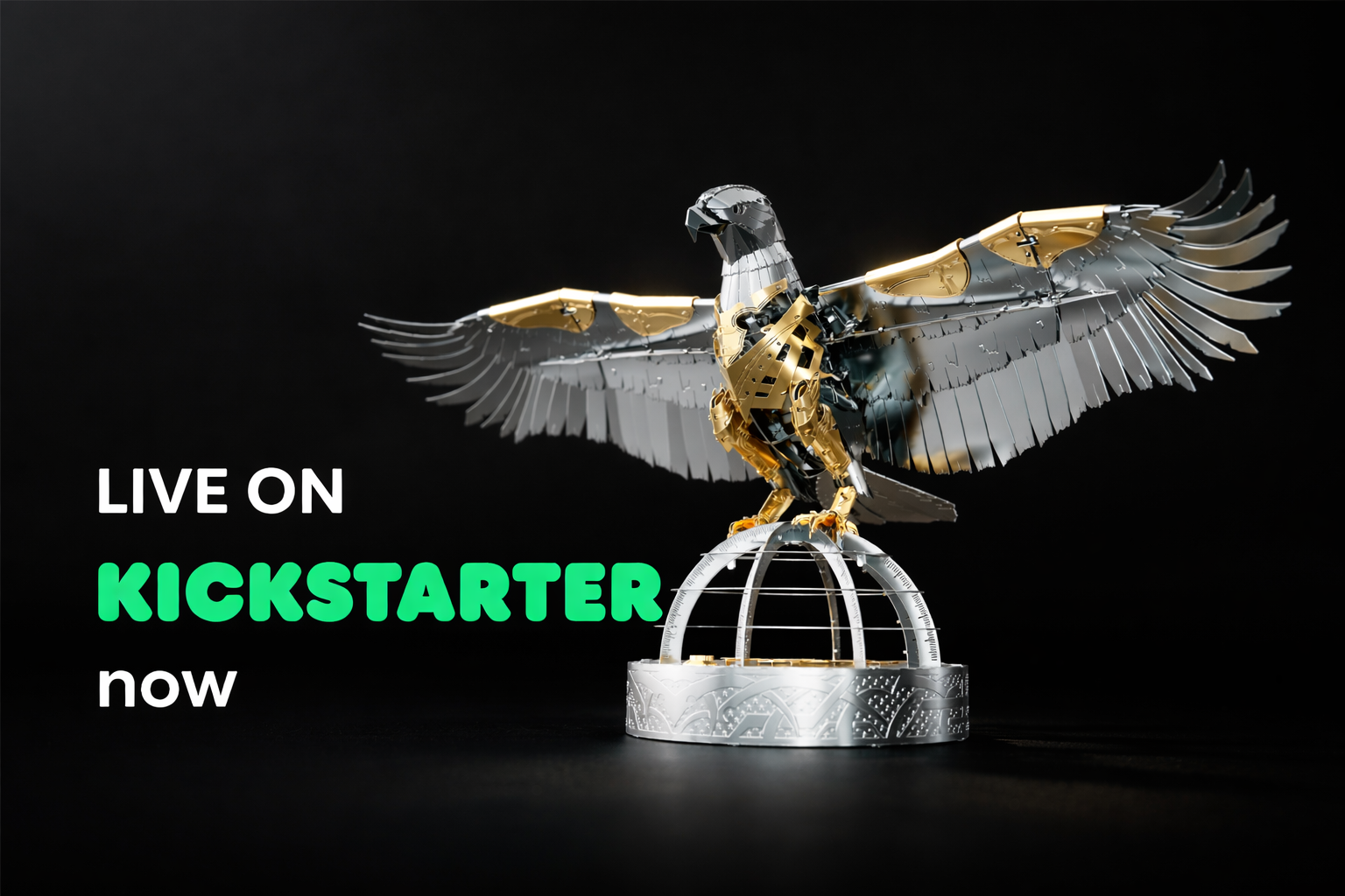 Kickstarter Campaign – Limited Edition