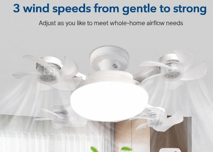 💡❄️ Cool Your Room & Brighten It at the Same Time!