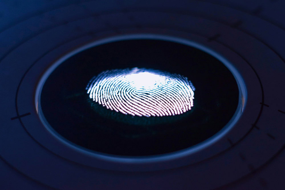 Xiaomi 15 Will Feature An Unique Ultrasonic Fingerprint Scanner