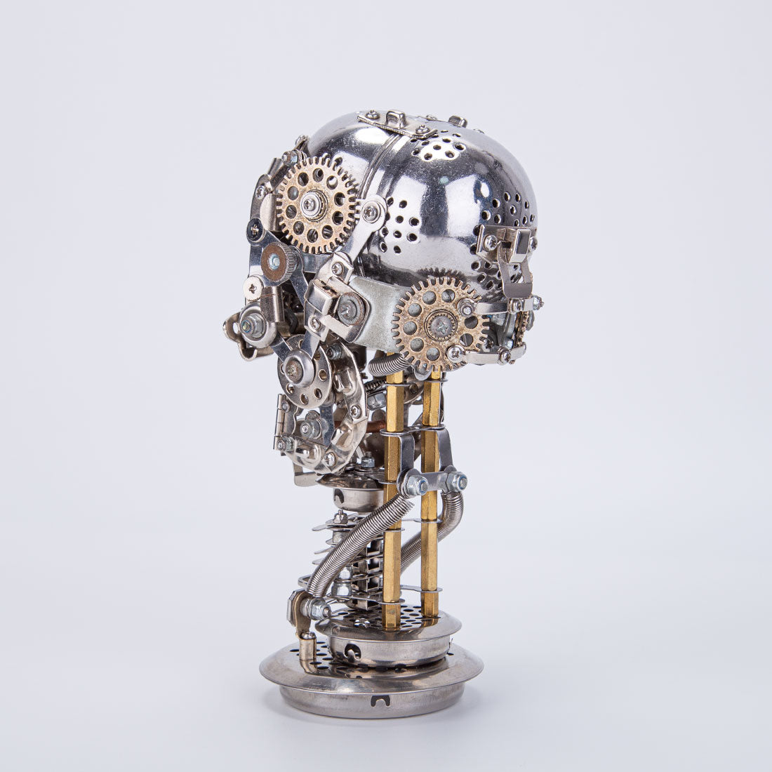Skeleton Model