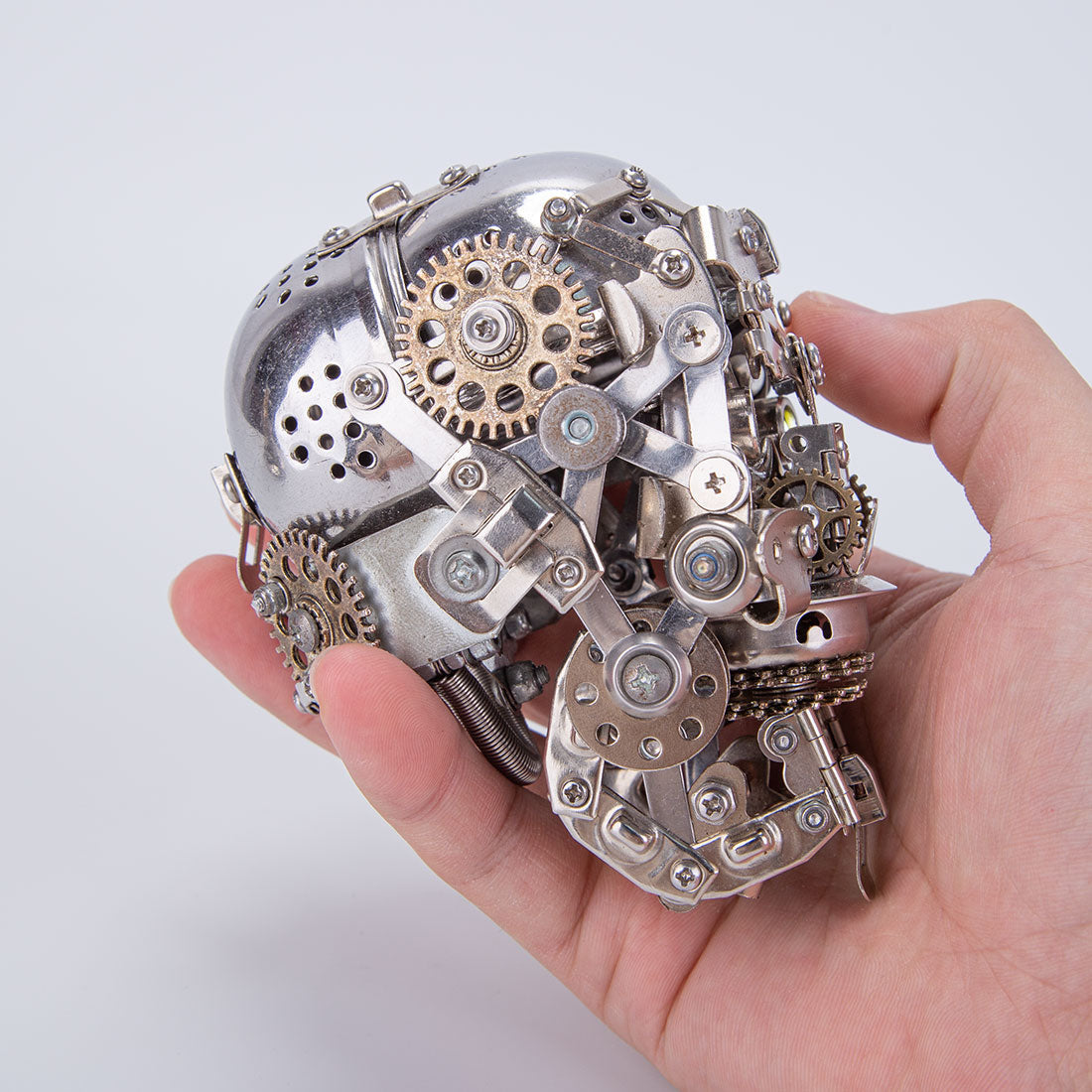 Skeleton Model