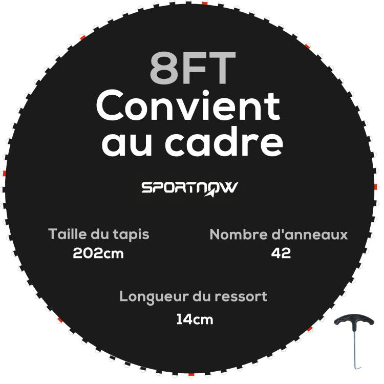 ASP0003254EU.jpg@cfe4f5415590e4495fbf362948c2bfc0