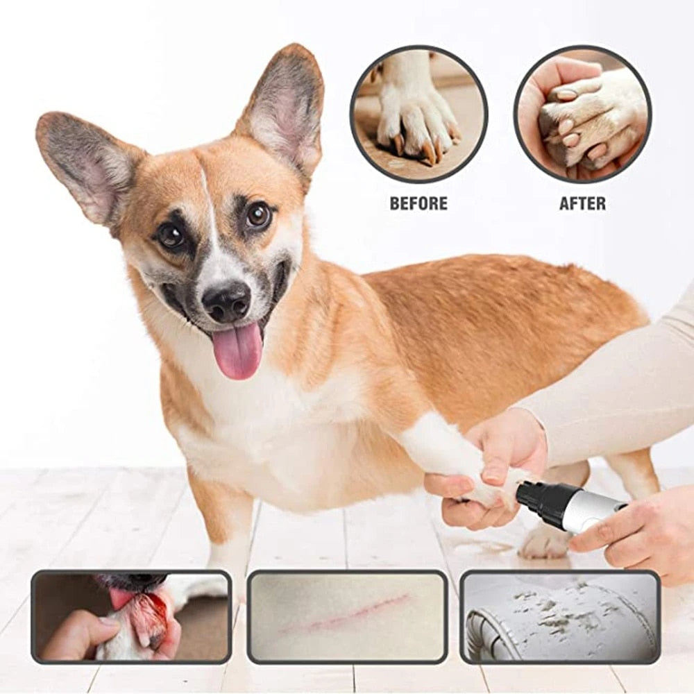 Xiaomi Electric pet Nail Grinder Puppy Cat Nail Clippers Professional Grooming Gadget Diamond Bit Replacement Head Dog Claw Care