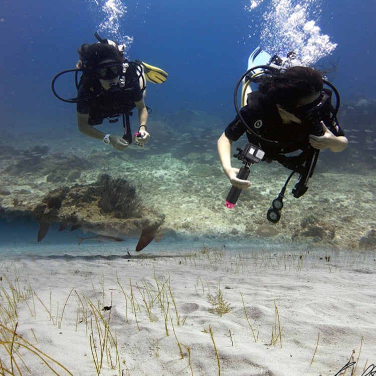 DCA0533_5.jpg@4e04cd189d46bd3dd96e84689f9cd691