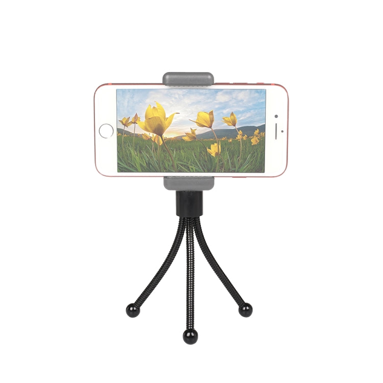 DCA0744_5.jpg@2cffc8a80915f4e130c810abf5378bc0