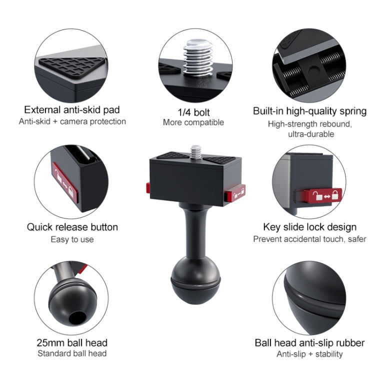 DCA2793B_5.jpg@372198dc7f3ed88a9a1db98ac3fbb16d