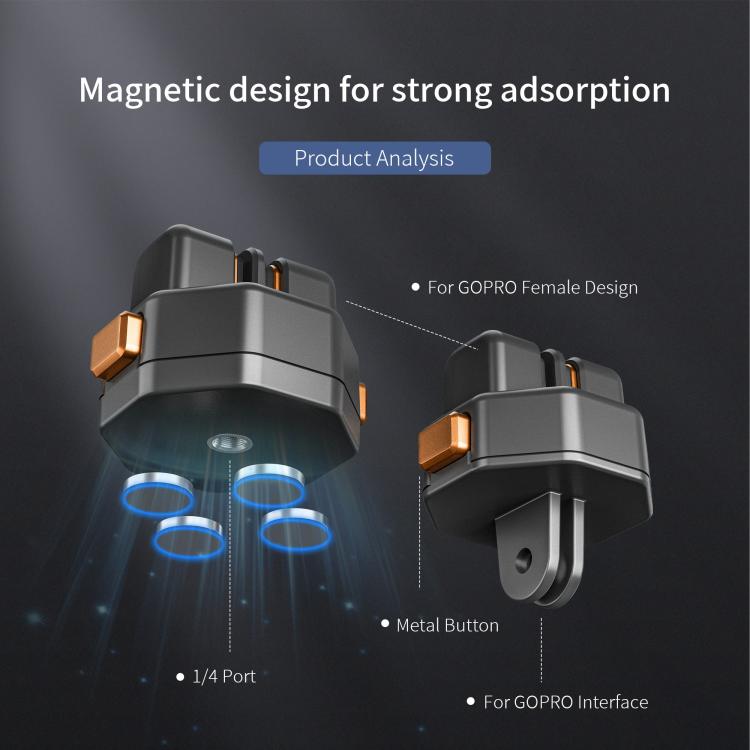 DCA7842B_8.jpg@dad66bd5564c07156e6f805446000f90