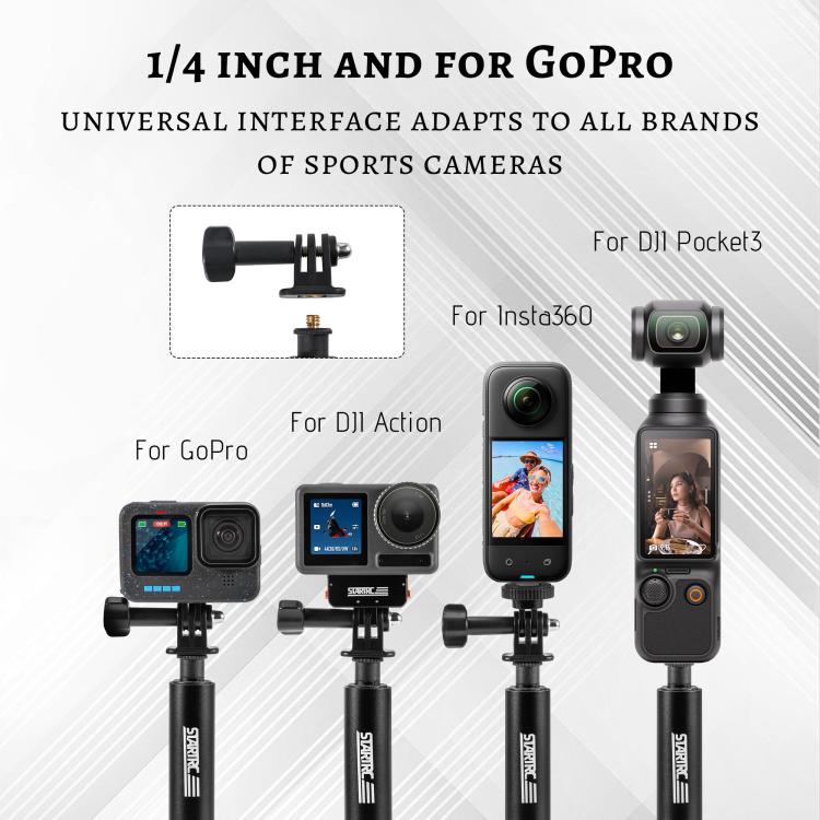 DLP5874B_5.jpg@8c8db1100e937ca21e0cfb231127efbc