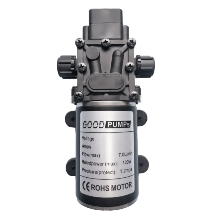 EDA00505701_1.jpg@026db3961adaaeee8142c1cecadceeb0