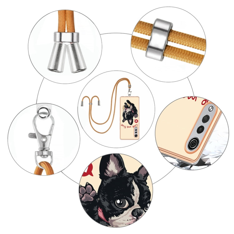 EDA005316001G_3.jpg@c72e3452f2b37f7002ecafd3620cdf12