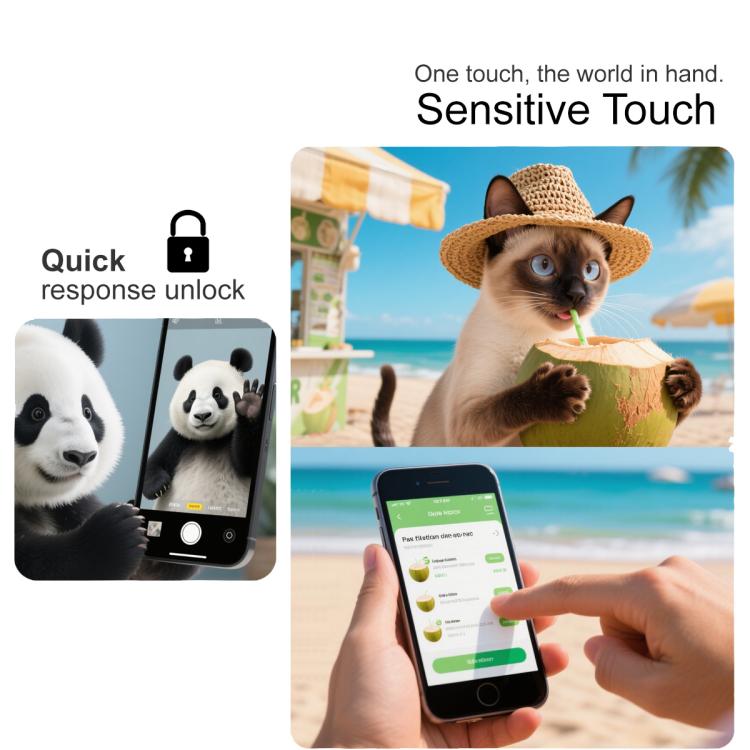 EDA006655812_3.jpg@e0a1477821253dd75e6a064bbace8e56