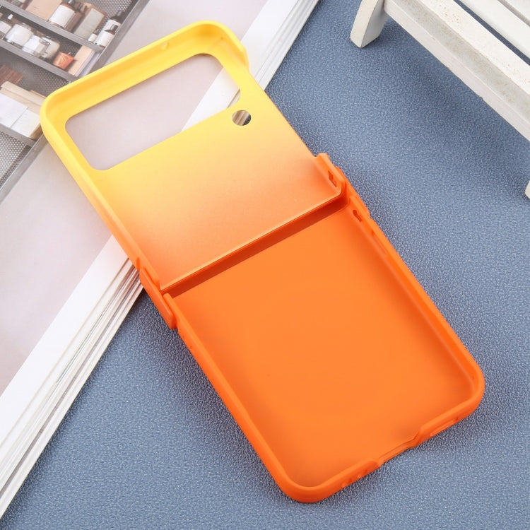 EDA007277702C_2.jpg@a9fe9e38c03a6c6c01b7f7e6768c0d73