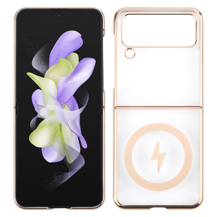 EDA007443702A.jpg@27eb560b58b11e59016bed1cc4fd20c0