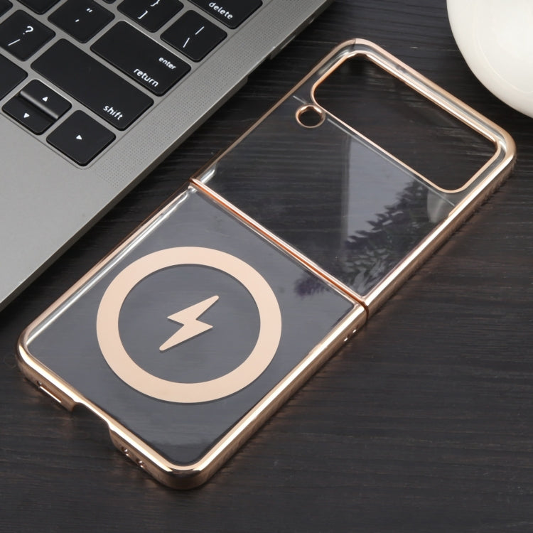 EDA007443702A_1.jpg@d709a88d5411c1ab7f72d2ffd7264458