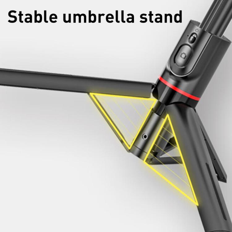 EDA007739701A_1.jpg@2987de06aa1c22fe3164a7981c94a639