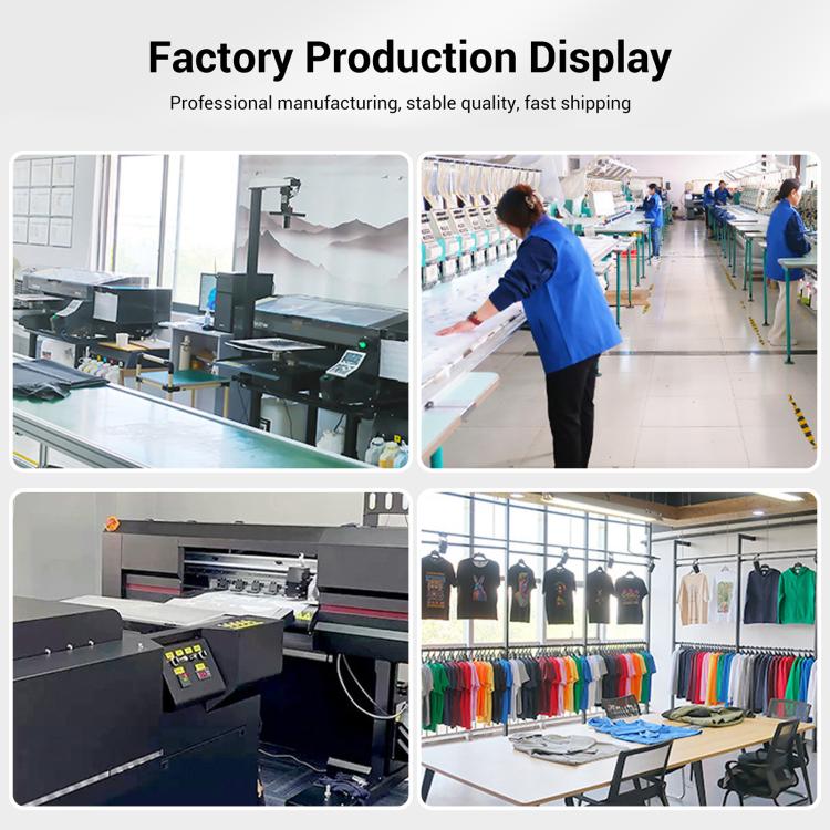 EDA0077511_B5.jpg@00223ff82c64aaa810e6dbb01de9cd86