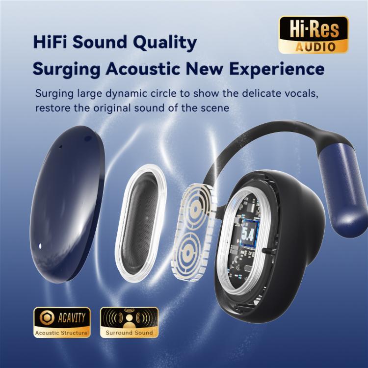 EDA0078230_B3.jpg@6762d8dea8c752f3991475c2b286ad41