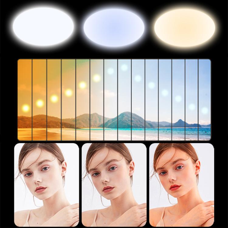 EDA0078487_B3.jpg@4e2cf9afce10164cc4dbed8c0c107929