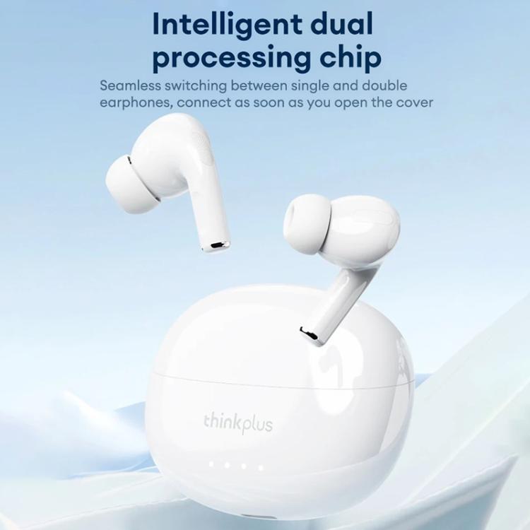 EDA0078571_B8.jpg@fbb9597a1a674c536045e34f5901d39e