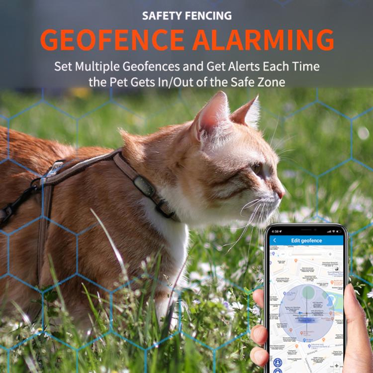 EDA007886401A_7.jpg@f7b804d197cf2fa58306470e11486aac