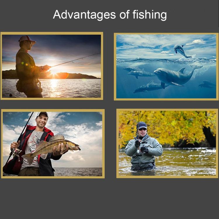 EDA0079109_B4.jpg@ad6ef6c3ee1699ada832205027c85f19