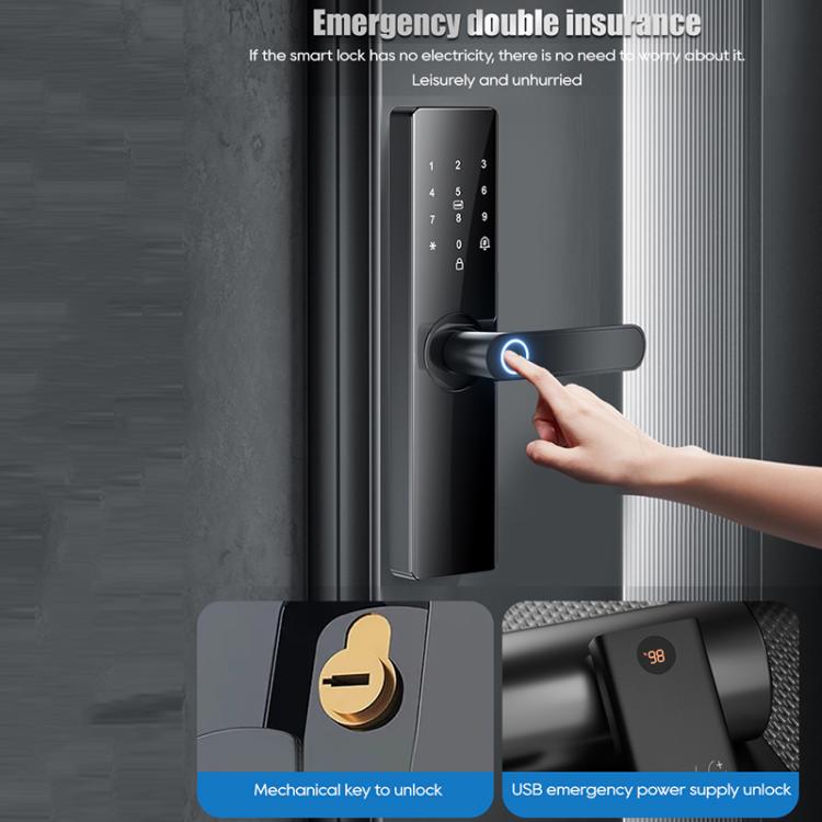 EDA007952804A_5.jpg@e5141a4d1c834cd0305faaf9433ac758