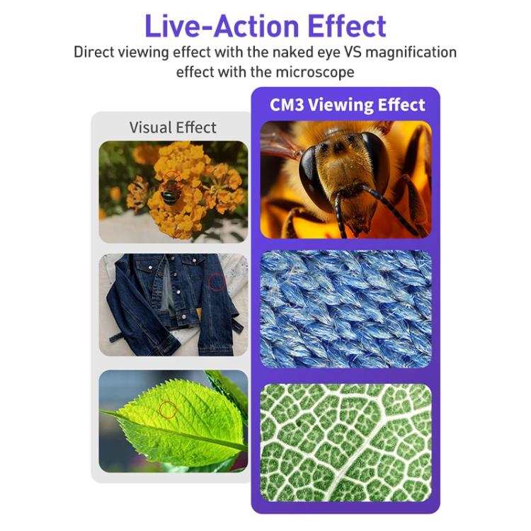 EDA007958701A_6.jpg@4314c407dcc53edbe8daa04f75b34bb4