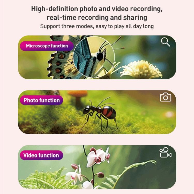 EDA0079596_B6.jpg@d704d4efeb076a0ad787d0db06cf50da