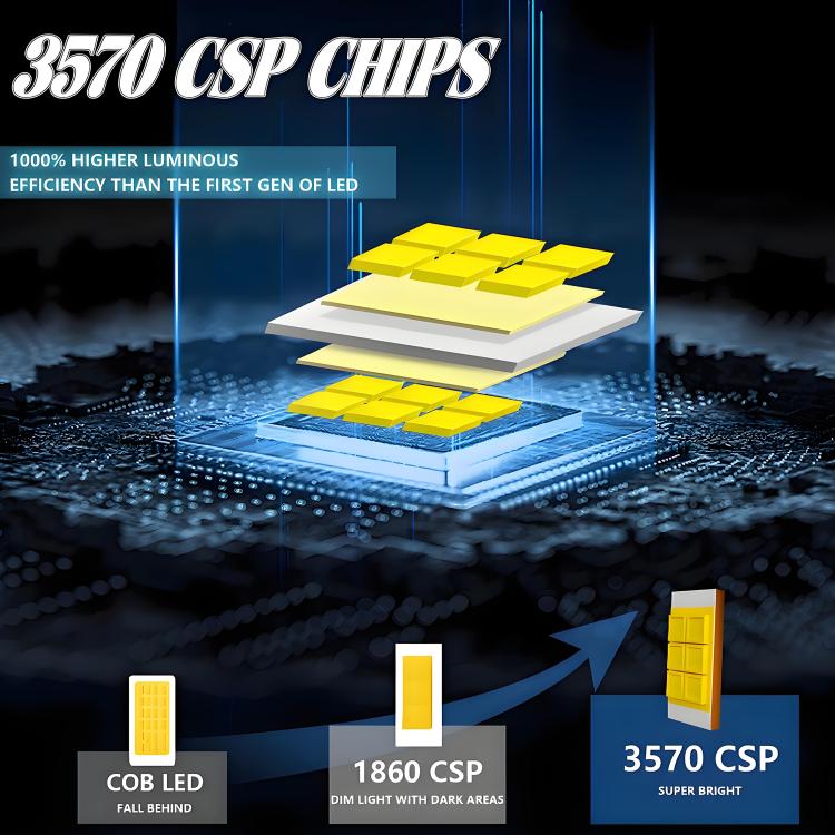 EDA008031202A_4.jpg@c84d6e293edf3740046953d308da5cda